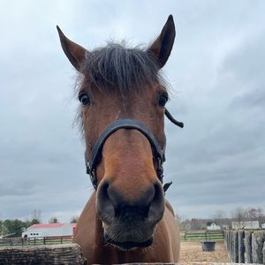 Meet your Posher, Jada